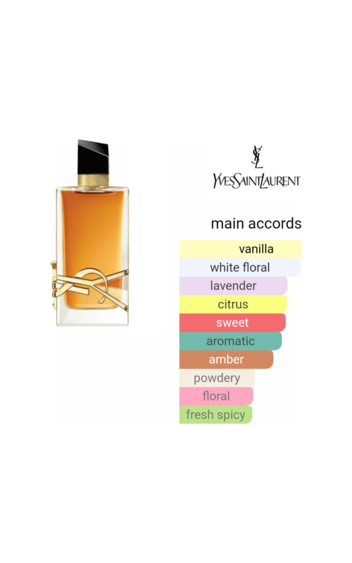 Untitled 20240910 233653